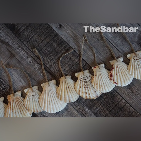 Shell Ornaments Gift Set of 8 Off White Scallop Shells Wedding Favors TheSandbar - Picture 4 of 5